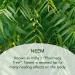 SUND RI Neem Night Cream - Nourishing Overnight Moisturizer for All Skin Types | Buy Internationally - Buy Online on GoSupps.com