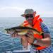 Fly Fishing Flies Fly Poppers Panfish Poppers Dry Flies Fly Fishing Popper Lures for Trout Salmon Bass 40 - Buy Online on GoSupps.com