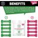 Biodegradable Anti-Fungal Ear Wipes for Dogs & Cats | 100 Soothing Cleaning Wipes | Gentle & Quick Solution for Ear Wax & Itchiness - Buy Online on GoSupps.com