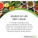 NaturesPlus Source of Life RED Multivitamin Liquid - 30 oz - Energy & Immune Support - with Exotic Red Fruits Lycopene & Lutein - Vegetarian & Gluten Free - 30 Servings 30 Ounce (Pack of 1) - Buy Online on GoSupps.com