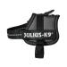 K9 Powerharness Size: 3XS/Baby 1 Anthracite 3XS/Baby 1 Anthracite