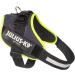Buy IDC Powerharness 2XL/3 - Neon Edge Decoration Jeans | International Shipping Available - Buy Online on GoSupps.com