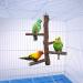 Filhome Bird Perch Stand Toy | Natural Wood Parrot Cage Branch | For Parakeets, Cockatiels, Conures, Macaws | 10 Length - Buy Online on GoSupps.com