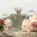 Ralph Lauren - Romance - Eau de Parfum - Women's Perfume - Floral & Woody - With Rose Jasmine and Berries - Medium Intensity 1.7 Fl Oz (Pack of 1) White - Buy Online on GoSupps.com