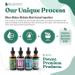 Rejuvica Health Active Adrenal - Advanced Adrenal Support Tincture - Liquid Delivery for Better Absorption - Ashwagandha B-Vitamins Magnesium and More 2 Fl Oz (Pack of 2) - Buy Online on GoSupps.com