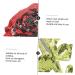 2pcs Rose Cloth Sticker Embroidered Patch Sequin Rose Patch Diy Patch Autumn and Winter Accessories - Buy Online on GoSupps.com