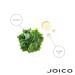 JOICO Moisture Recovery Conditioner 50 ML - Hydrating Hair Care for All Hair Types | Shop Now - Buy Online on GoSupps.com