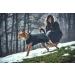 HUNTER Uppsala Softshell Dog Coat - Functional & Stylish Black Jacket for Dogs Size 55 - International Shipping Available - Buy Online on GoSupps.com