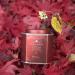 Harney & Sons African Autumn Herbal Rooibos Tea | Hibiscus, Cranberry, Orange | 30 Sachets - Buy Online on GoSupps.com