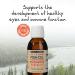 Wileyâ€™s Finest Wild Alaskan Fish Oil for Kids - DHA 650mg, Strawberry Watermelon Flavor, 4.23 fl oz - Buy Online on GoSupps.com