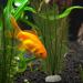 Buy Aquarium Plants Decoration - Lifelike Plastic & Artificial Aquatic Plants for Stunning Aquarium Decor - Buy Online on GoSupps.com