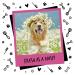 BUGALUGS Baby Fresh Dog Perfume - 6.8 oz Vegan Cologne Spray for Dogs | Deodorizer & Grooming Spray - Buy Online on GoSupps.com