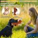 Petcronies Big Dog Toys - Tug-of-War & Cuddly Interactive Plush Squeaky Toys for Small Medium & Large Dogs - Relieve Boredom & Enhance Playtime (Brown) - Buy Online on GoSupps.com