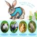 Adjustable Rabbit Dishes with Leash - Soft Small Animal Bowls for Hamsters Guinea Pigs and Cats | Neck Size: 18-27 cm Great for Pets 28-37 cm - Buy Online on GoSupps.com