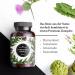 Mary Thistle Complex with Artichoke & Dandelion - High-Dose 80% Silymarin - 120 Vegan Capsules - 4-Month Supply - Lab Tested Quality - Buy Online on GoSupps.com