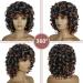 KEAT Short Big Curly Kinky Wig for Black Women | Afro Wavy Synthetic Wig with Bangs for African American Women | K002 Black/Brown Highlights - Buy Online on GoSupps.com