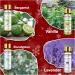 HEYTREE Essential Oils Set - 8 x 10ml Pure Natural Aromatherapy Oils - Lavender, Eucalyptus, Tea Tree, Vanilla, Peppermint, Lemongrass, Bergamot, Orange - Perfect Christmas Gifts - Buy Online on GoSupps.com