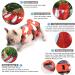 Hofrenchies Dog Chest Hair Hoi Schwimmewest - Pet Safety Bathing Suit Lifeguard Vest for French Bulldog (Size M Clownfish) - Shop Now! - Buy Online on GoSupps.com