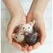 Hamanaka Small Friends Cats H441-483 Needle Felting Kit - Create Adorable Feline Figures - Buy Online on GoSupps.com