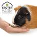 Stoter Farm Timothy Enriched Guinea Pig Food (5.5 LBS) 2.5 kg (Pack of 1) - Buy Online on GoSupps.com
