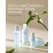 BEYOND Phyto Aqua Skincare Gift Set - Vegan Korean Skin Care with Toner & Lotion for Hydration | Hyaluronic Acid & Tree Sap Complex - 11.3fl oz - Buy Online on GoSupps.com