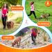 SparklyPets Hands Free Dog Lead - Professional Reflective Waist Lead for Medium and Large Dogs - Ideal for Walking, Training, Jogging - Gray For 1 Dog - Buy Online on GoSupps.com