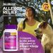 ValuMeds 24-Hour Allergy Medicine (100-Count) | Fexofenadine HCl Tablets | Non-Drowsy Antihistamine | Pollen, Hay Fever, Allergies | Kids & Adults | Compare to Allegra - Buy Online on GoSupps.com