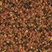 SUPERVIT Chips 1000ml / 520g - Basic food for ornamental fish in the form of chips - Buy Online on GoSupps.com