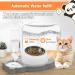 Elevated Tilted Cat Food and Water Bowl Set with Automatic Dispenser - Grey-Stainless Steel - Buy Online on GoSupps.com