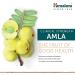 Himalaya Amla 60 Caplets - Natural Antioxidant & Immune Support - Buy Online on GoSupps.com