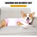 Lianzimau Post-Op Dog Bodysuit - Wound Protective Suit for Male Dogs XXL Tie-Dye Pink Ideal After Castration Surgery - Buy Online on GoSupps.com