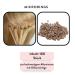 Hair2Heart Microring Silicone for Real Hair Extensions - Gentle Fastening - #6 Light Brown - 100 Pieces of 1g I-Tips & Loops - Buy Online on GoSupps.com
