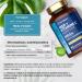 MSM 2000mg Avec Vitamine C | 365 Comprim s Vegan Pour 6 Mois | M thylsulfonylm thane et Acide Ascorbique | Alternative la MSM Poudre | Compl ment Alimentaire Hautement Dos | par Horbaach - Buy Online on GoSupps.com