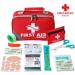 250-Piece 2-in-1 First Aid Kit for Car - Essential Emergency Supplies for Businesses, Home, Travel, Workplace & More - Buy Online on GoSupps.com
