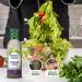 Walden Farms 355ml Caesar Salad Dressing - Buy Online Now - Buy Online on GoSupps.com