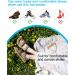 Golbylicc Bunion Corrector Toe Separators - 8 Pairs for Women Men - Gel Toe Spacers with 2 Loops - White - Buy Online on GoSupps.com