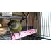 Polly's Tooty Fruity Pollen Bird Perch - Small | Enhance Your Bird's Environment - Buy Online on GoSupps.com