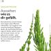 Vilate After-Sun Skin Protection - Cooling Aloe Vera Gel | 250 ml | Soothes & Regenerates Skin - Buy Online on GoSupps.com