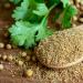 Organic Coriander Seeds - Organic Coriander - 100% Natural - NCA (100) - Buy Online on GoSupps.com