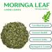 Organic Moringa Leaf Tea 375g Loose Cut Leaves Moringa Oleifera Premium Herbal Tea Caffeine-Free Versatile Herb for Tea & Culinary Use | DRAGONFLY HERBS - Buy Online on GoSupps.com