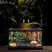 Deep Dome Lamp Cap Lamp Fixture Optical Reflection Cover for Reptile Glass Terrariums B0BYWSSK5P (8.5IN) - Buy Online on GoSupps.com