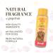 Burt's Bees 2-in-1 Dog Shampoo & Conditioner with Natural Grapefruit Fragrance - Cruelty-Free, Sulfate & Paraben-Free, pH Balanced - 12 Oz, Made in USA - Buy Online on GoSupps.com