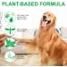 Fleas For Cats Powerful Prevention And Control For Fleas Eggs Fleas And Prevention For Cat Fleas - Buy Online on GoSupps.com