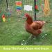 KAKUNM 12PCS Chicken Coop Toys: Xylophone, Swing Set, Mirror, Ladder, Vegetable String Bag & Feeder - Fun Activities for Hens - Buy Online on GoSupps.com