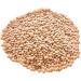 Old India Masur Whole (Brown Lentils) 5 kg - Buy Online on GoSupps.com