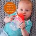 b.box Sippy Cup 8oz - Pistachio Green | Baby Straw Cup with Weighted Straw, Easy-Grip Handles | 6m - Buy Online on GoSupps.com