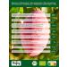 Biojoy Organic dried mango (1 kg) fruity and exotic without additives - Buy Online on GoSupps.com