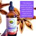 Buy Premium Star Anise Essential Oil 3.38oz (100ml) - Aromatherapy International Shipping Available - Buy Online on GoSupps.com