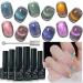 AHAMIOU Crystal Cat Eye Gel Polish Kits 9D Holographic Magnetic Cats Eyes Gel Nail Polish Shiny Glitter Laser Varnish UV Gel Varnish Nail Art Manicure Kit 6PCS Aurora-6Pcs SET