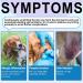 Itch and Immunity Treats for Dogs Dog Allergy Relief Treats - Soothe Itchy Skin Paws Eyes Ears Itch Relief for Dogs Skin & Coat Immune Health for All Breeds and Sizes Peking Duck 30 Chews - Buy Online on GoSupps.com